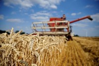 Ukraine: Lệnh cấm nhập khẩu ngũ cốc của một số nước EU đang đặt thêm 'vũ khí' vào tay ông Putin