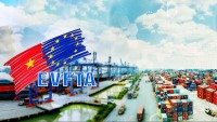 Hiệp định EVFTA: Từ ‘trái ngọt’ đầu mùa đến những điều tiếc nuối và bài học về sự ‘bọc lót’ giữa các doanh nghiệp Việt