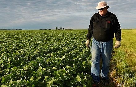 Mất thị trường nông sản, nông dân Mỹ lên án Tổng thống Trump