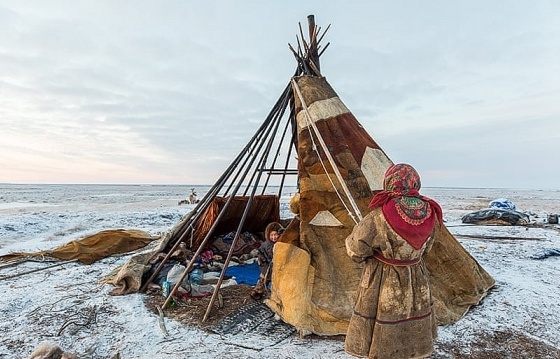 Khám phá cuộc sống đời thường của bộ lạc Nenets tại nơi 'tận cùng thế giới'