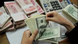 Tỷ giá ngoại tệ, tỷ giá USD/VND hôm nay 2/8: Lý do USD đi lên sau khi bị bán tháo