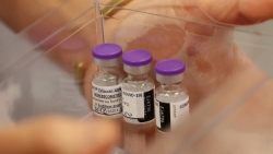 Thị trường vaccine Covid-19 lên ngôi, các hãng dược phẩm 'hái ra tiền'