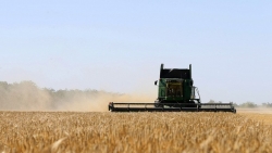 Nga nêu điều kiện gia hạn thỏa thuận ngũ cốc, khẳng định phụ thuộc vào phương Tây