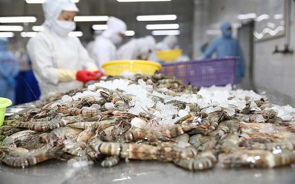 Four out of 10 Vietnamese businesses gained from EVFTA: VCCI survey