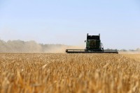 Nga: Gia hạn thỏa thuận ngũ cốc là điều không thể, hé lộ điều quan trọng nhất