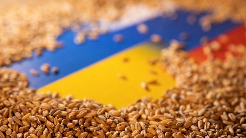 Ukraine: Thỏa thuận ngũ cốc Biển Đen lại bị tạm dừng vì Nga