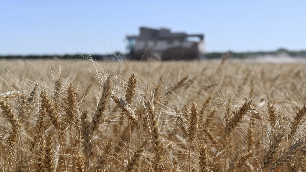 Nga lên tiếng về đàm phán khôi phục thỏa thuận ngũ cốc; Ukraine 'không thể chấp nhận' một điều