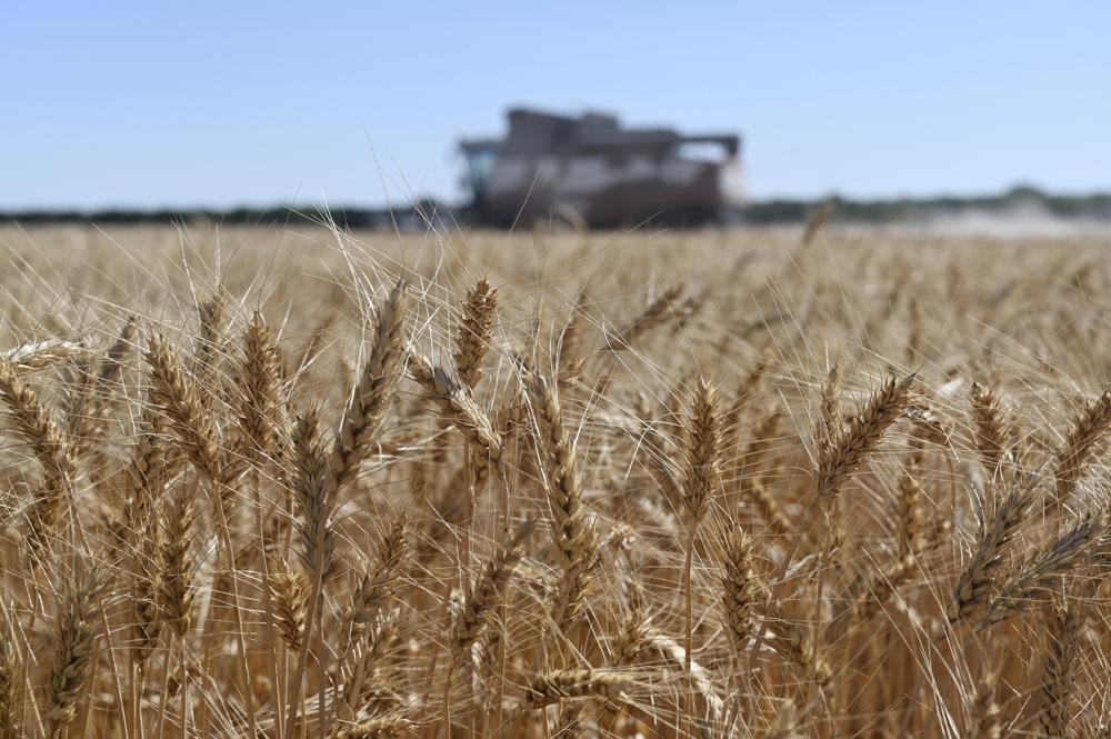 Ukraine thông báo gia hạn thỏa thuận xuất khẩu ngũ cốc