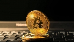 Tiền điện tử hôm nay 14/9: Thị trường 'ngắc ngoải', Bitcoin cần nhanh chóng thoát khỏi 'vùng nguy hiểm'