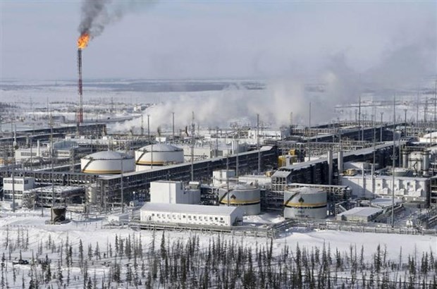 Mỹ: Nga cắt giảm sản lượng dầu vì không thể bán