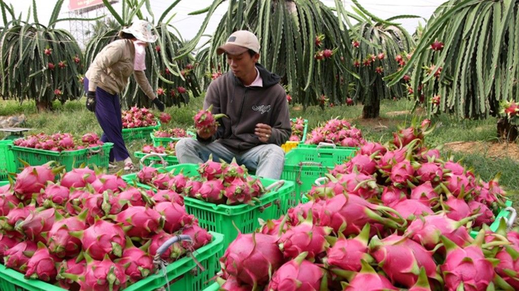 loi ich suy doan tu evfta khong tu nhien tro thanh hien thuc