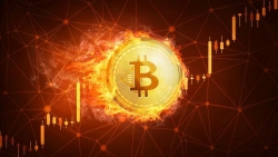 Tiền điện tử Bitcoin hôm nay 7/10: Bitcoin 'trình diễn' bộ mặt tiêu cực, thị trường tiền ảo ngập chìm sắc đỏ