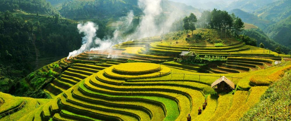 Ruộng bậc thang Bình Liêu.