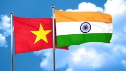 Thúc đẩy hợp tác kinh tế, thương mại Việt Nam-Ấn Độ