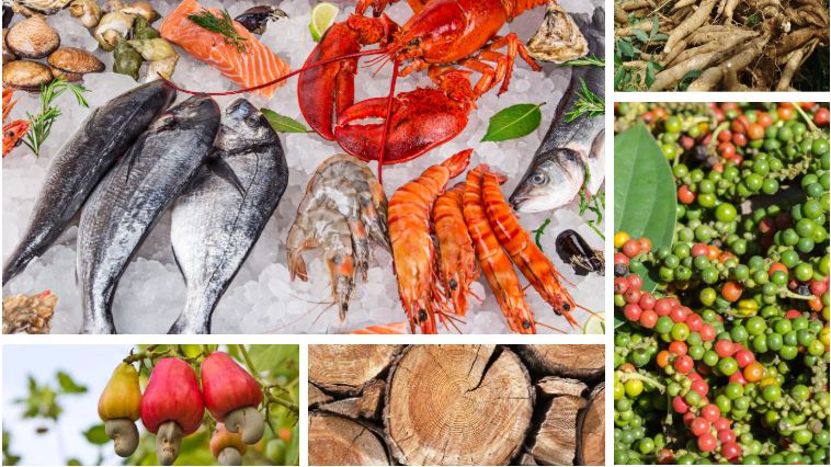 Xuất khẩu ngày 26-28/12:  Gạo xuất khẩu vẫn chưa được nhận tên 'Vietnam rice'; Xuất khẩu nông, lâm, thủy sản vượt 'sóng to gió lớn'