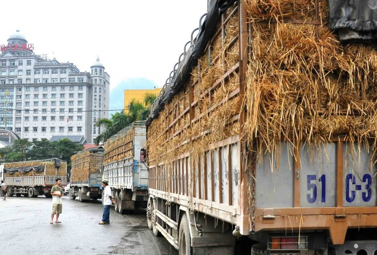 Thương mại Việt Nam - Trung Quốc Sắp cán mốc 100 tỷ USD