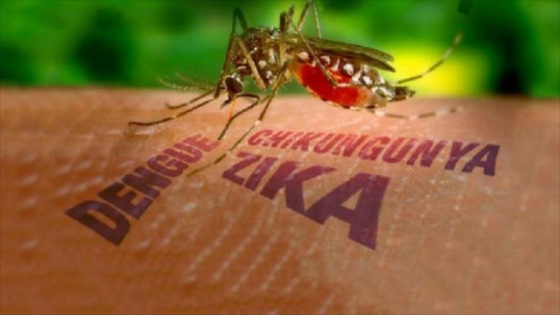 nguy co virus zika lan truyen tai viet nam