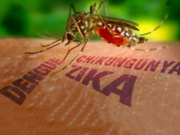 Nguy cơ virus Zika lan truyền tại Việt Nam