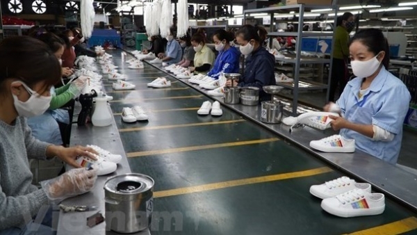 Vietnamese businesses look to further optimise opportunities from CPTPP