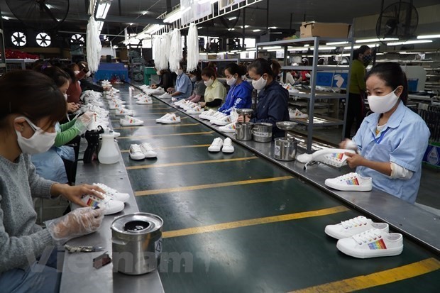 Vietnamese businesses look to further optimise opportunities from CPTPP