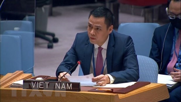 Vietnam ready to make substantive contributions to UN development forums: Ambassador