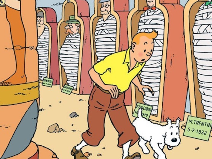 Cảm nhận đặc biệt về Nhà báo Tintin