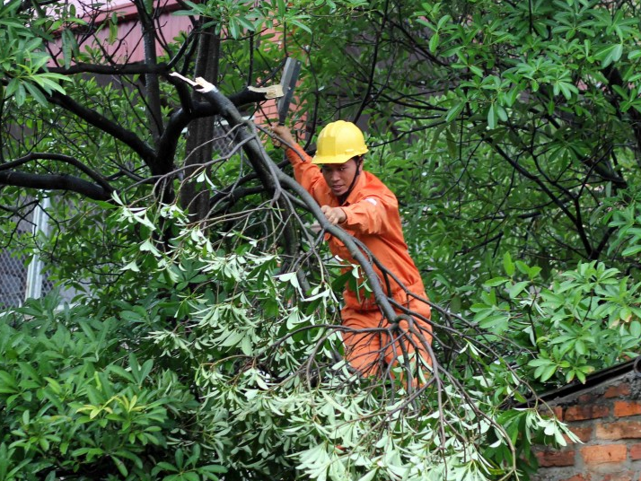Hà Nội: Chủ động bảo đảm an toàn điện cho mùa mưa bão