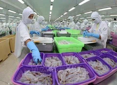 CPTPP prompts Vietnam’s aquatic exports to Japan