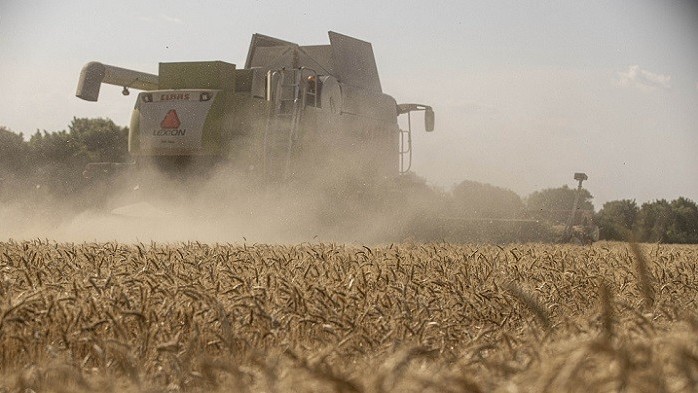 Ukraine có lượng ngũ cốc xuất khẩu trị giá 10 tỷ USD