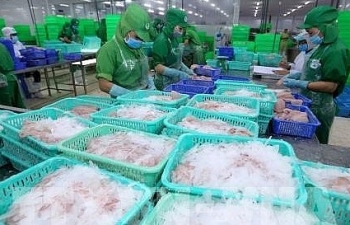 US remains largest importer of Vietnam in seven months