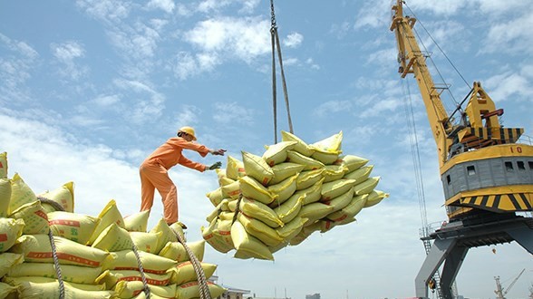 Vietnam’s rice exports jump 20% in seven months