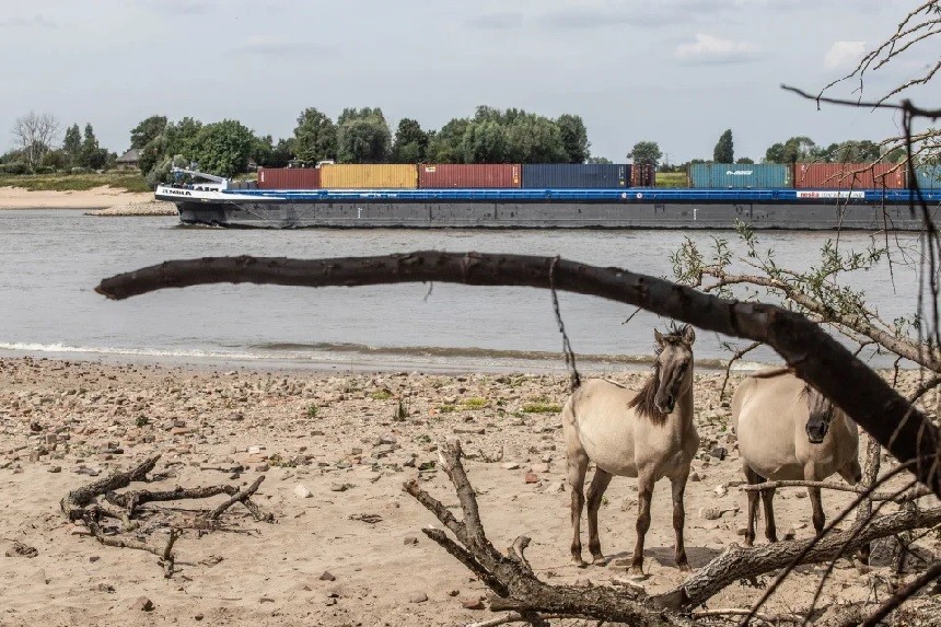 Các dòng sông đang cạn kiệt, đe dọa tê liệt thương mại châu Âu