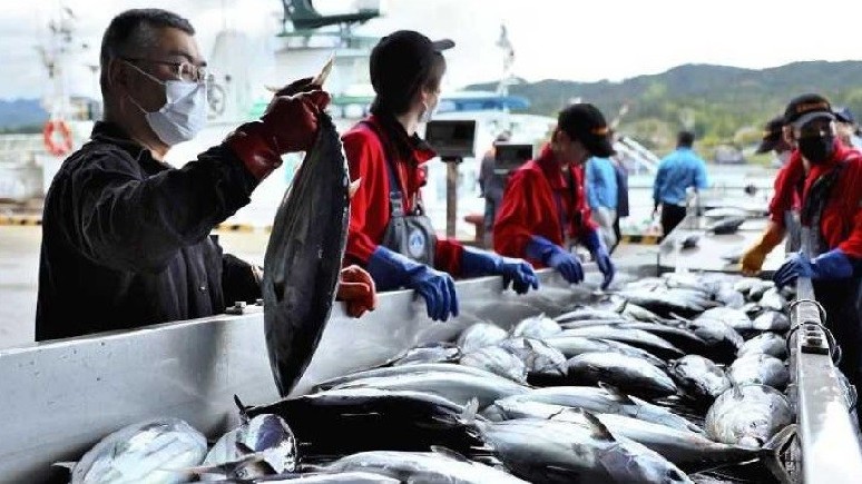 Nhật Bản thúc đẩy số hóa trong ngành đánh bắt cá