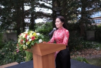 quang ba van hoa viet tai embassy festival ha lan 2019