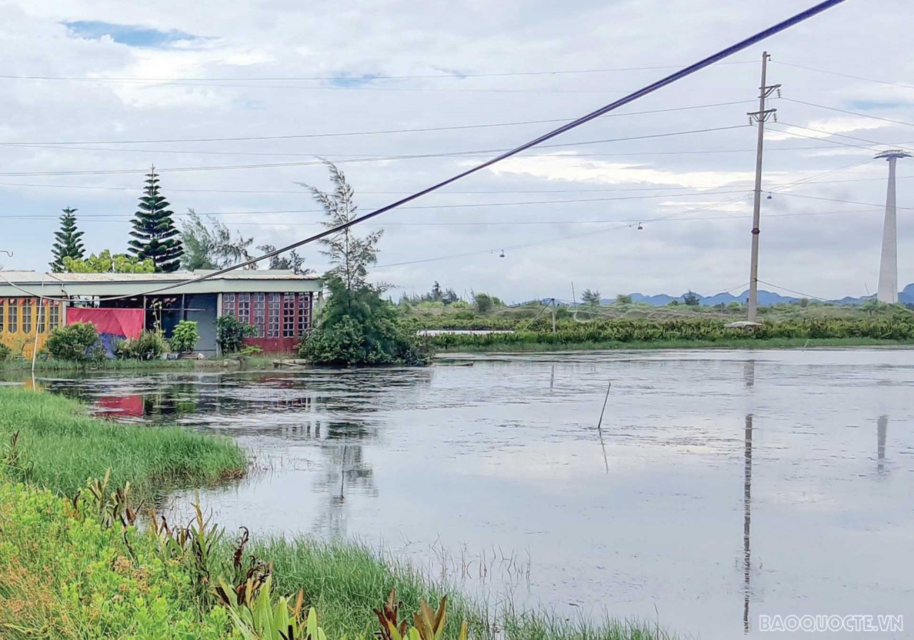 Overview of the fishery of former journalist cum army major Le Mai and his son. (Photo by Manh Cuong)