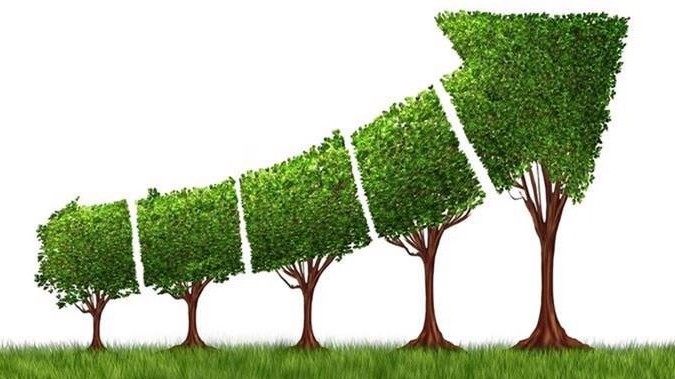 Vietnam’s green growth investment facilitation policies introduced at AsiaBerlin Summit