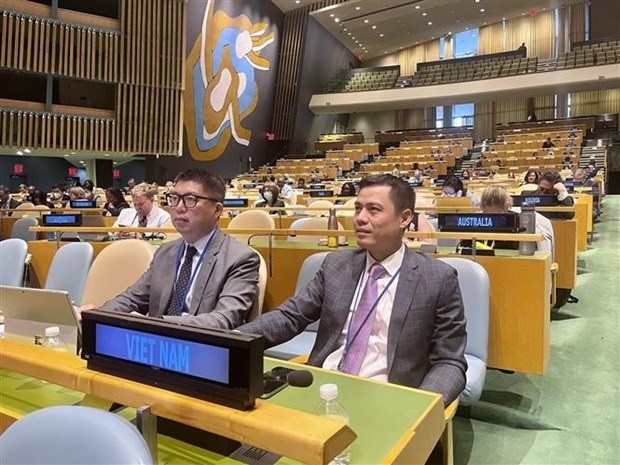 Effective contributions at UN bring practical benefits to Vietnam: Ambassador to UN