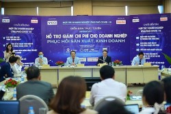 Phó Chủ tịch Hanoisme Mạc Quốc Anh: Cần chính sách dài hơi về giảm, giãn, gia hạn thuế, giảm chi phí sản xuất, kinh doanh