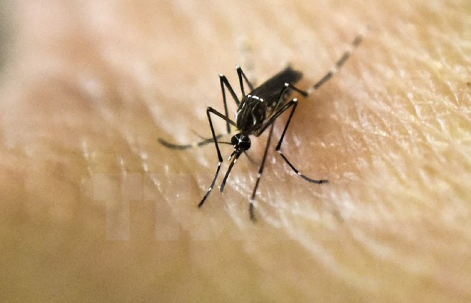 Philippines tiếp tục phát hiện thêm các ca nhiễm virus Zika