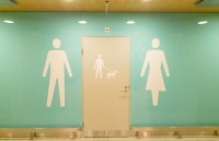 Phần Lan lắp đặt nhà vệ sinh cho chó ở sân bay Helsinki