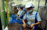foreign investment disbursement reaches 232 percent