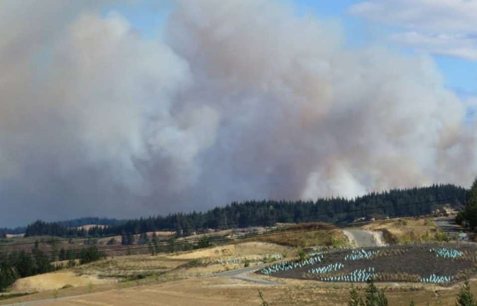 Hàng nghìn người phải sơ tán do cháy rừng tại New Zealand