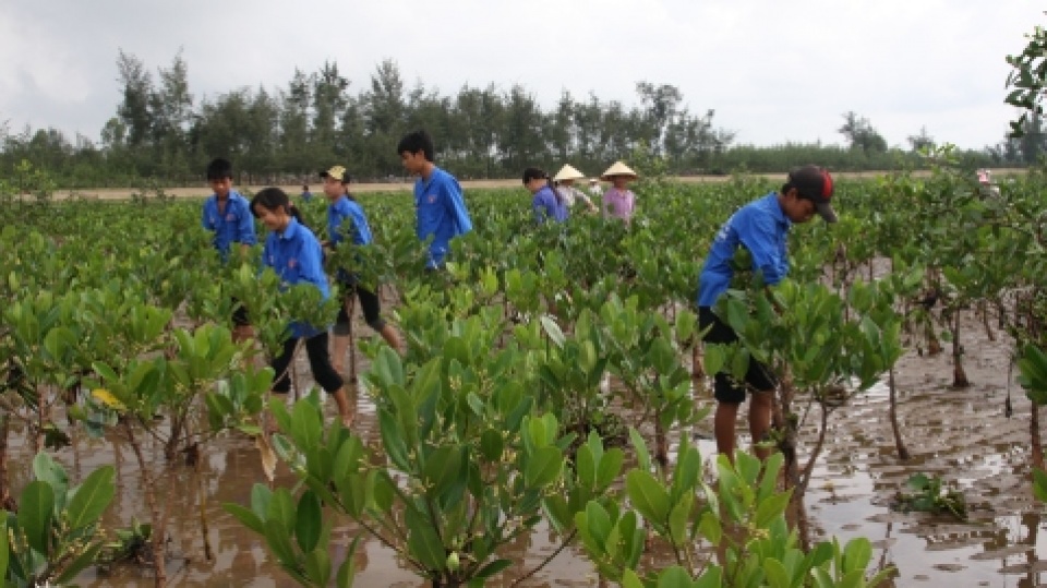 bien doi khi hau anh huong nang ne den dong nam a