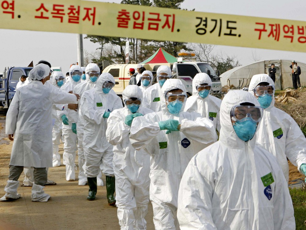(03.13) Các nhân viên y tế Hàn Quốc đã lập tức khoanh vùng bán kính nơi xác nhận mắc ca nhiễm H5N8. (Nguồn: AFP/Getty Images)