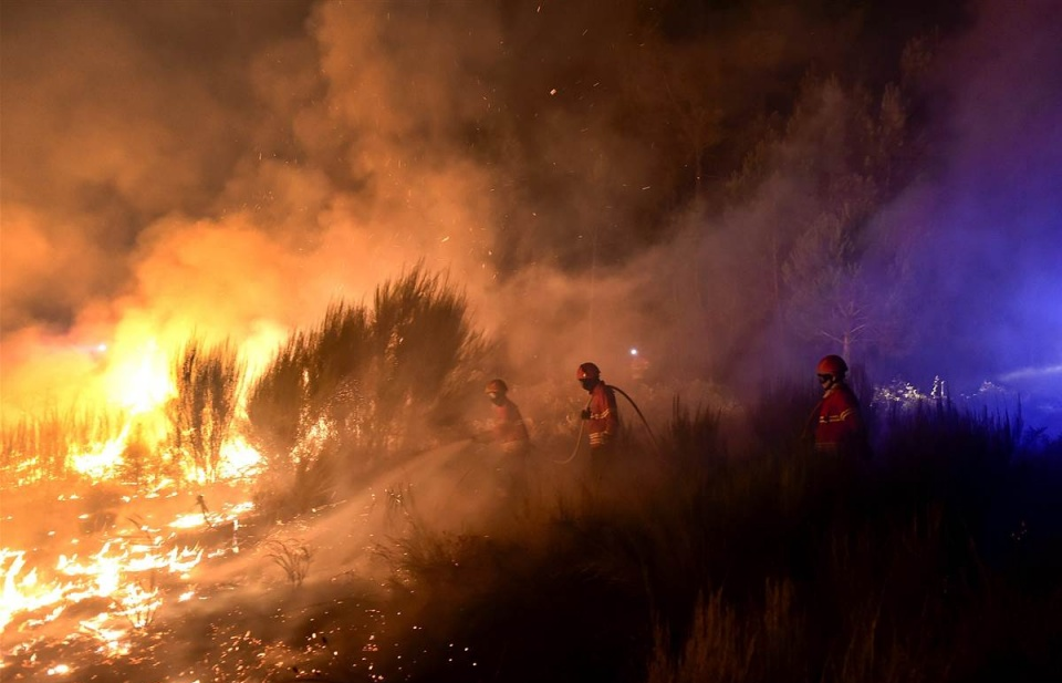 Cháy rừng tại Bồ Đào Nha, 195 người thiệt mạng