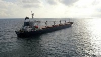 Ukraine: Sau thỏa thuận ngũ cốc, đã có 169 tàu chở lương thực rời các cảng ở Biển Đen