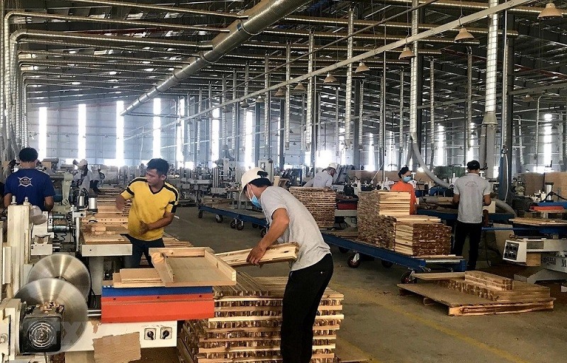 (10.06) Việt Nam lên tiếng về thông tin cho rằng có gỗ xuất xử từ Nga trong các mặt hàng gỗ Việt Nam xuất khẩu sang Mỹ - Ảnh minh họa. (Nguồn: TTXVN)