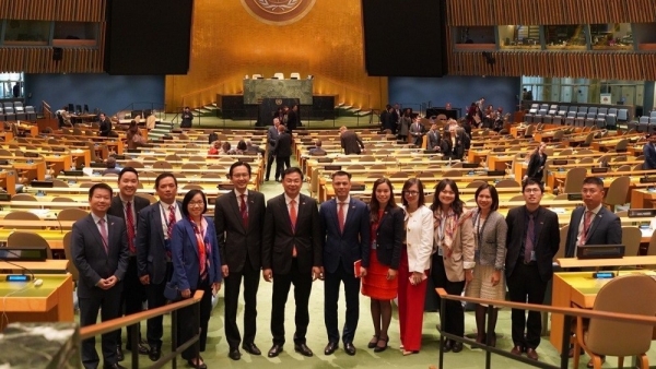Vietnam’s efforts and achievements won int’l confidence: Ambassador Dang Hoang Giang