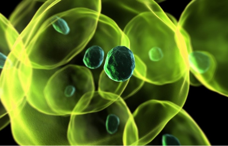 Hạt nano silicon mang theo thuốc điều trị ung thư