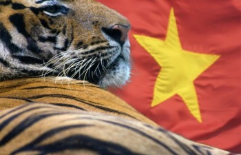 Việt Nam có thể trở thành con hổ châu Á mới hay không?